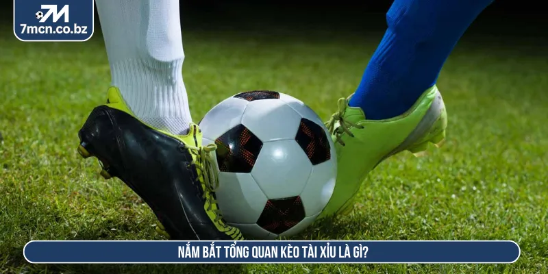 Kèo Tài Xỉu Là Gì? Hướng Dẫn Đọc Tỷ Lệ Cược Chuẩn 2026 1 Kèo tài xỉu là gì nắm bắt cách hoạt động của tỷ lệ